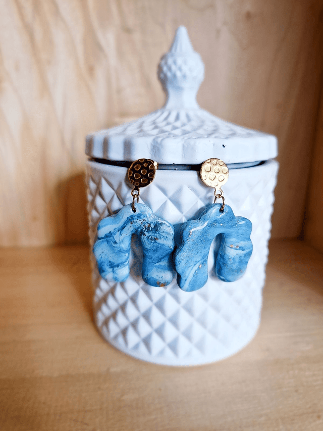 Renversante / Boucles d&#039;oreilles