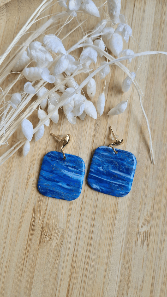 Luxueuse / boucles d&#039;oreilles 